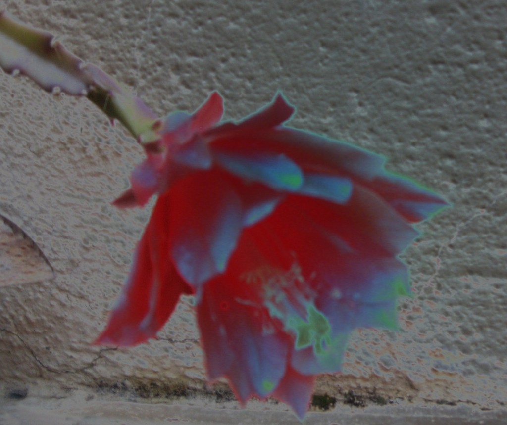 Tribute to William&nbsp;Shakespeare