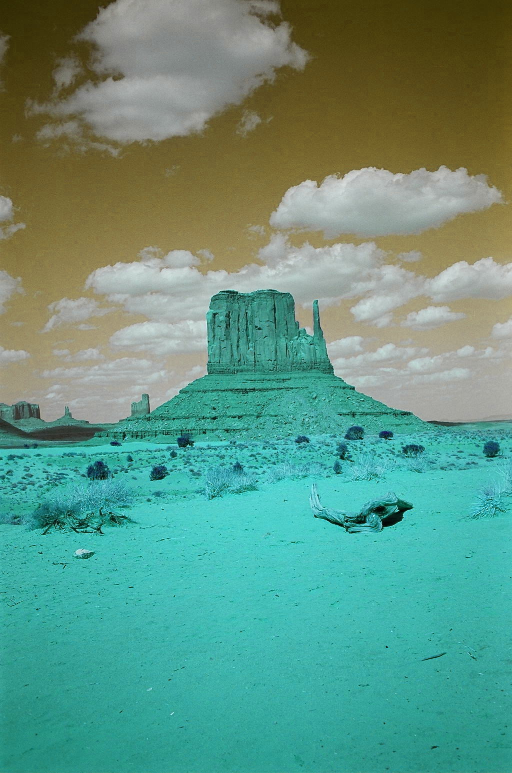 Les carnets de route di François&nbsp;Busnel