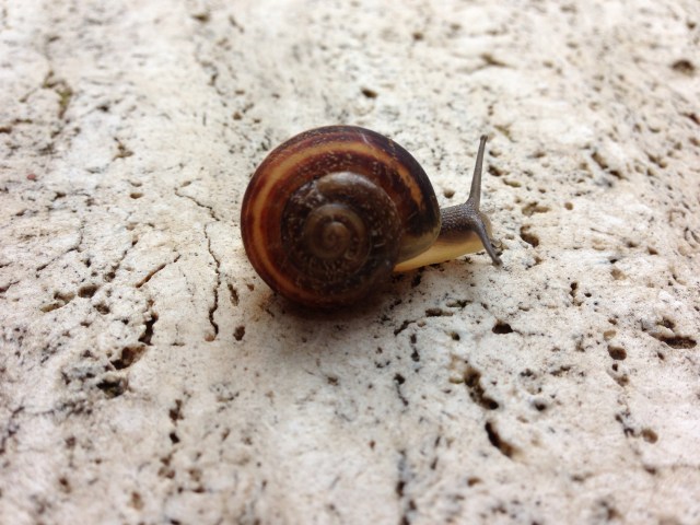 2013-06-01 06.51.22-2