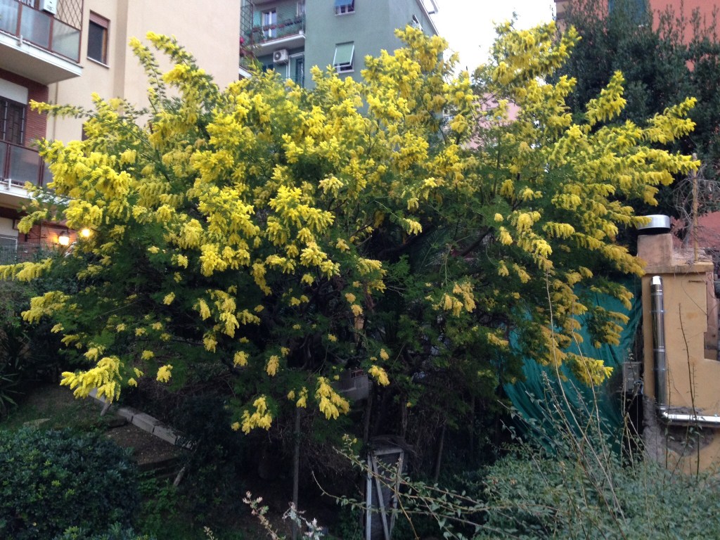 Passaggio, rinnovamento 