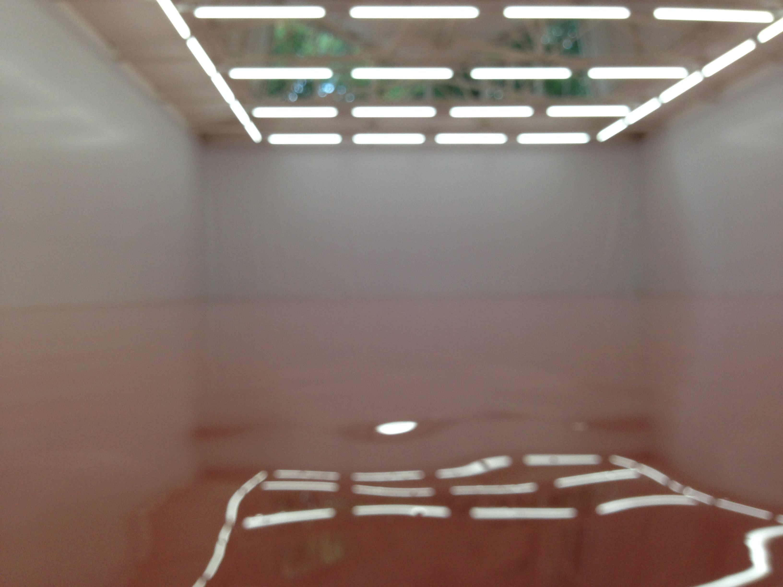 Lost in Representation