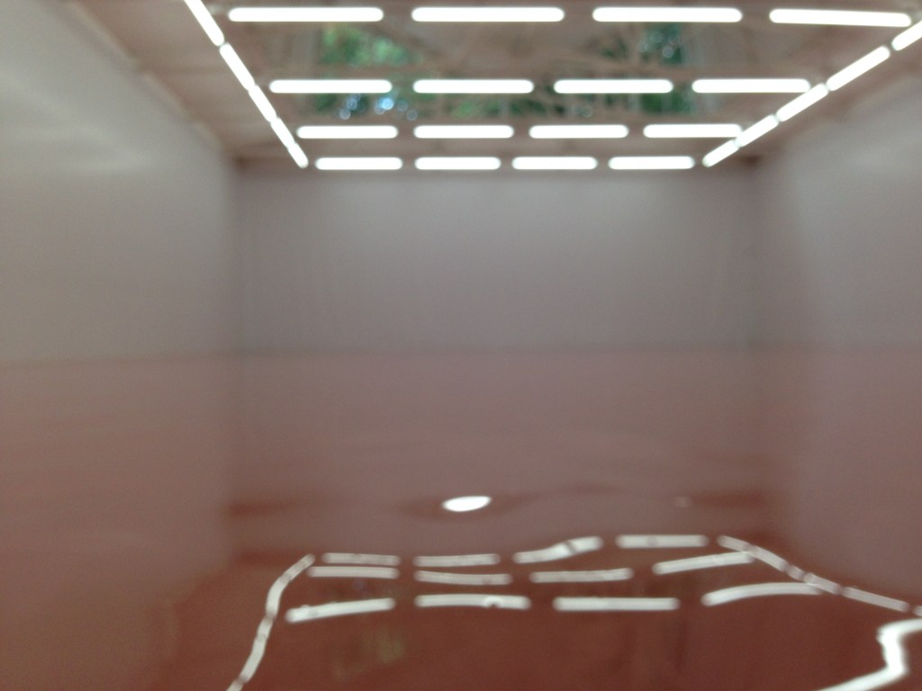 Lost in representation