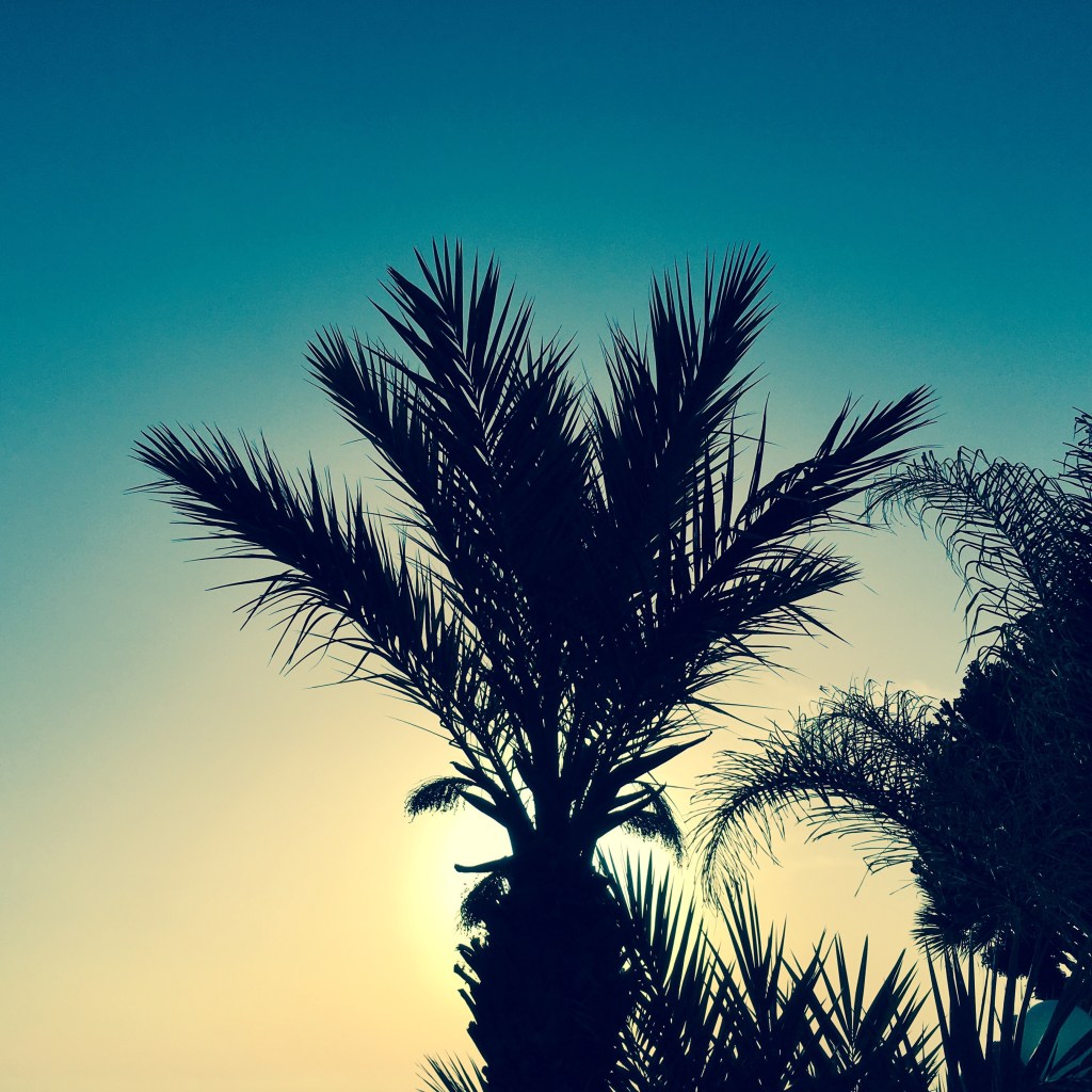 Top Photo of Summer&nbsp;2016