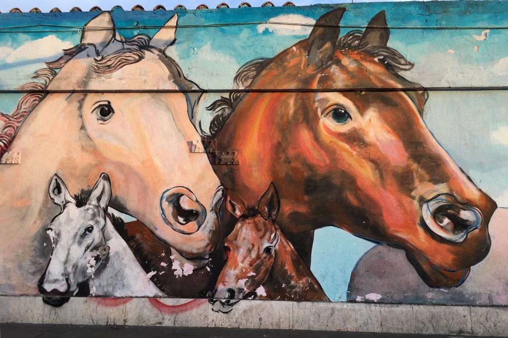 Urban Horses