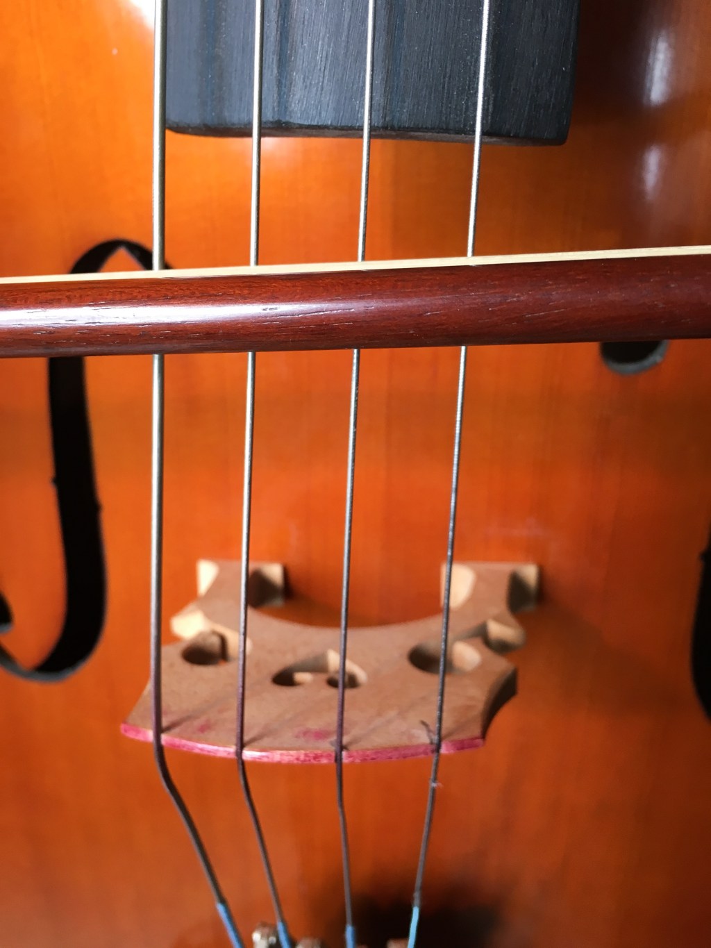 Balance of Opposing&nbsp;Forces