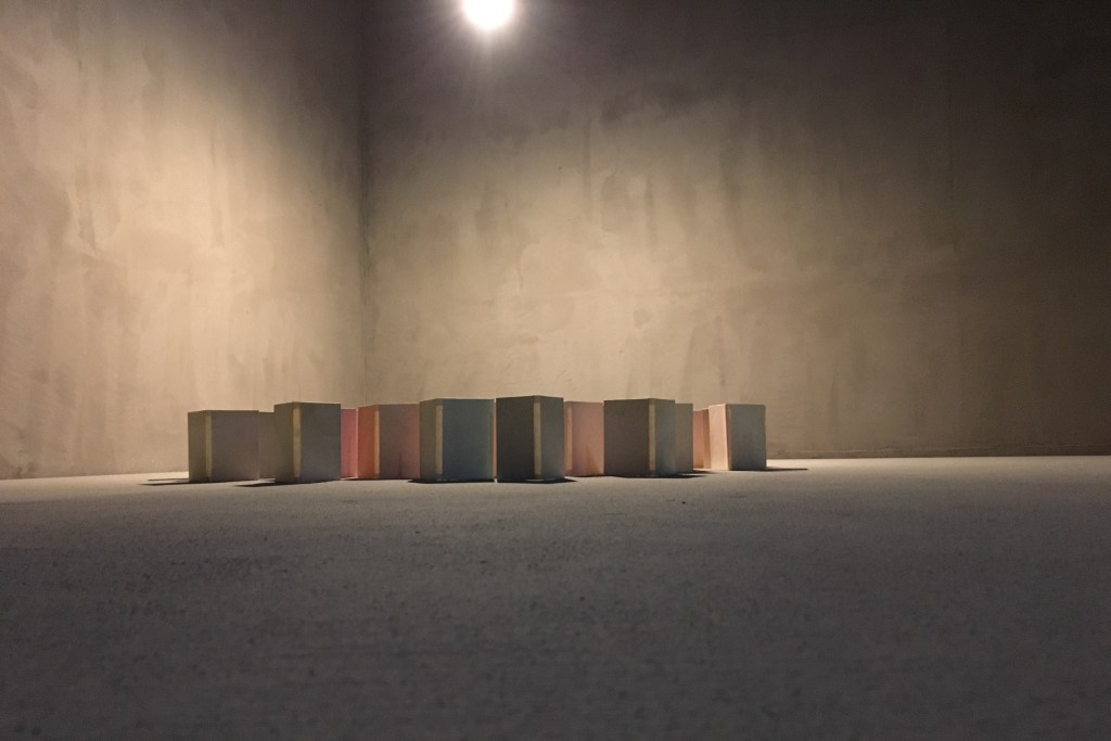 I pesci non portano fucili