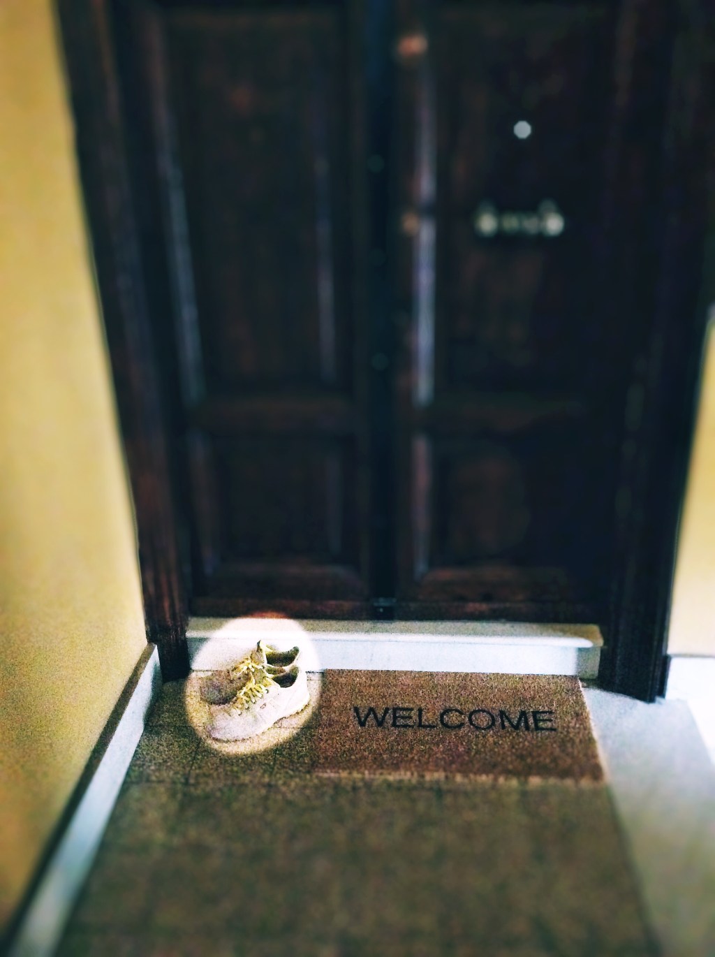 Have a Nice&nbsp;Sunday