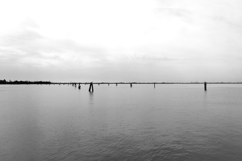 The Line (in Venice)