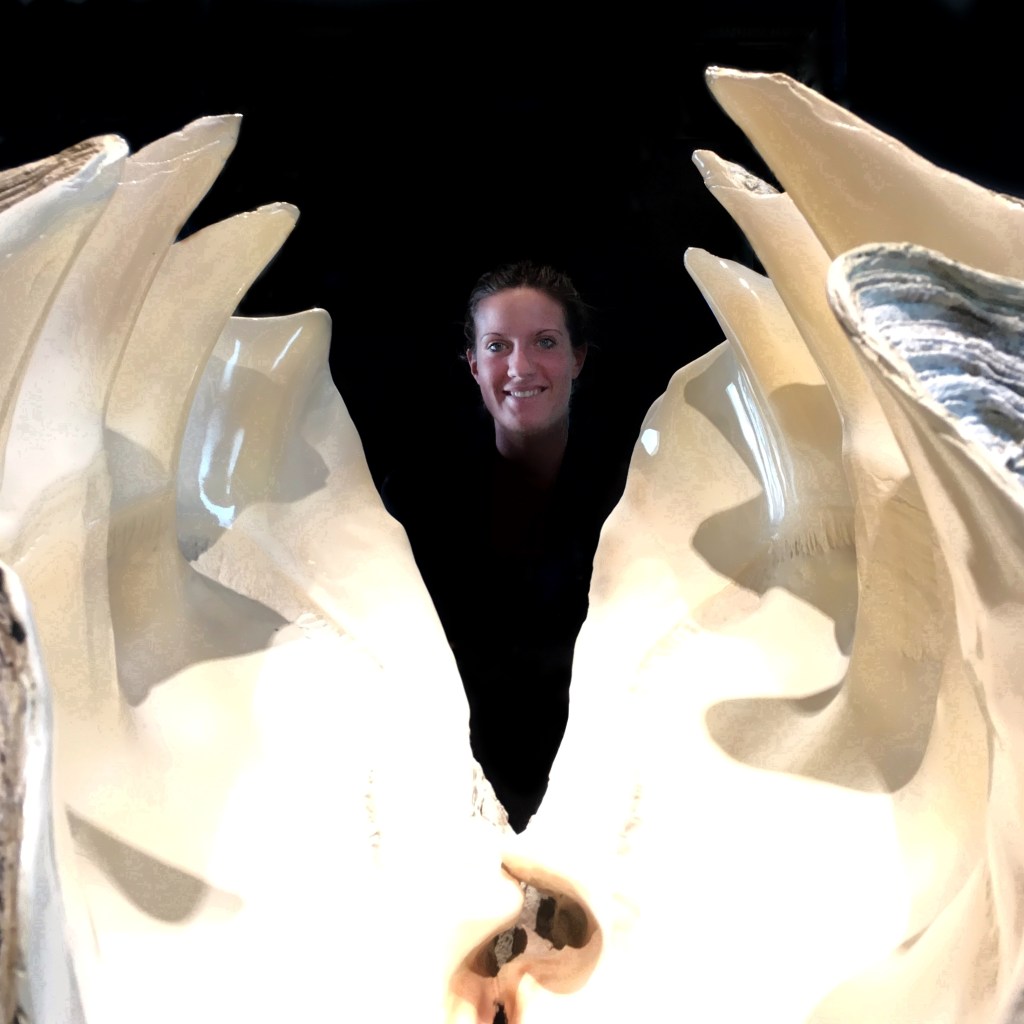 Museum Specimen of Giant Nautilus&nbsp;Shell