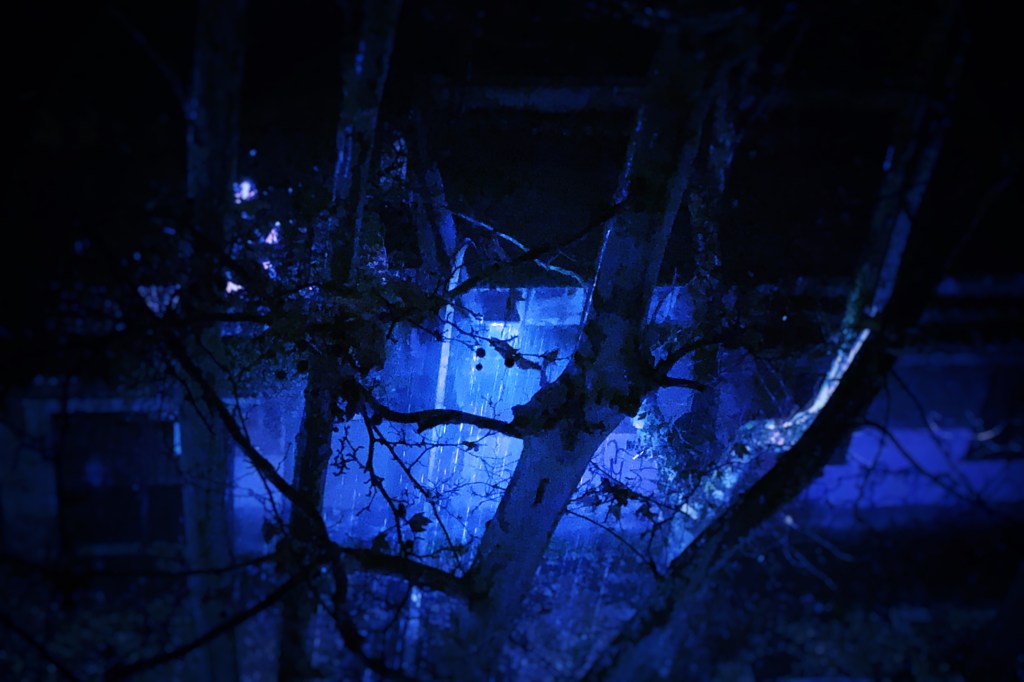 Heavy Rain (in&nbsp;Blue)