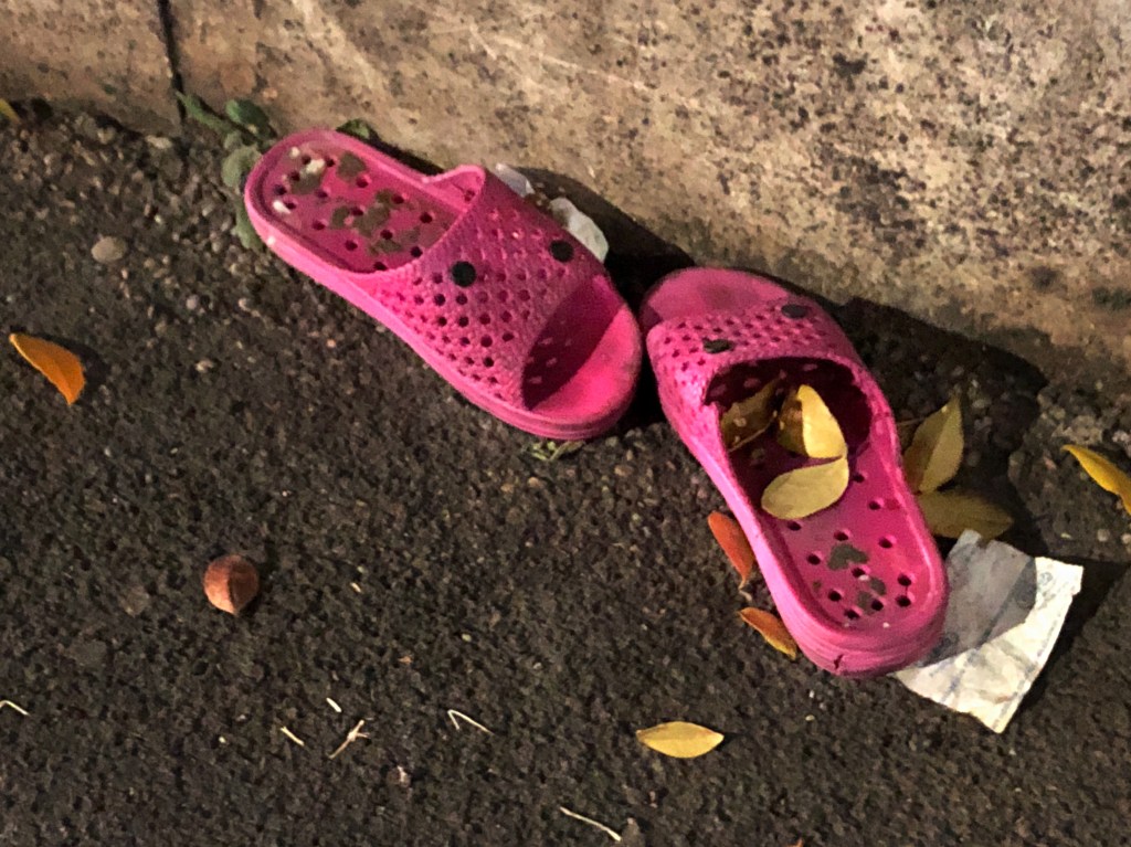 Traces of a&nbsp;Fairy