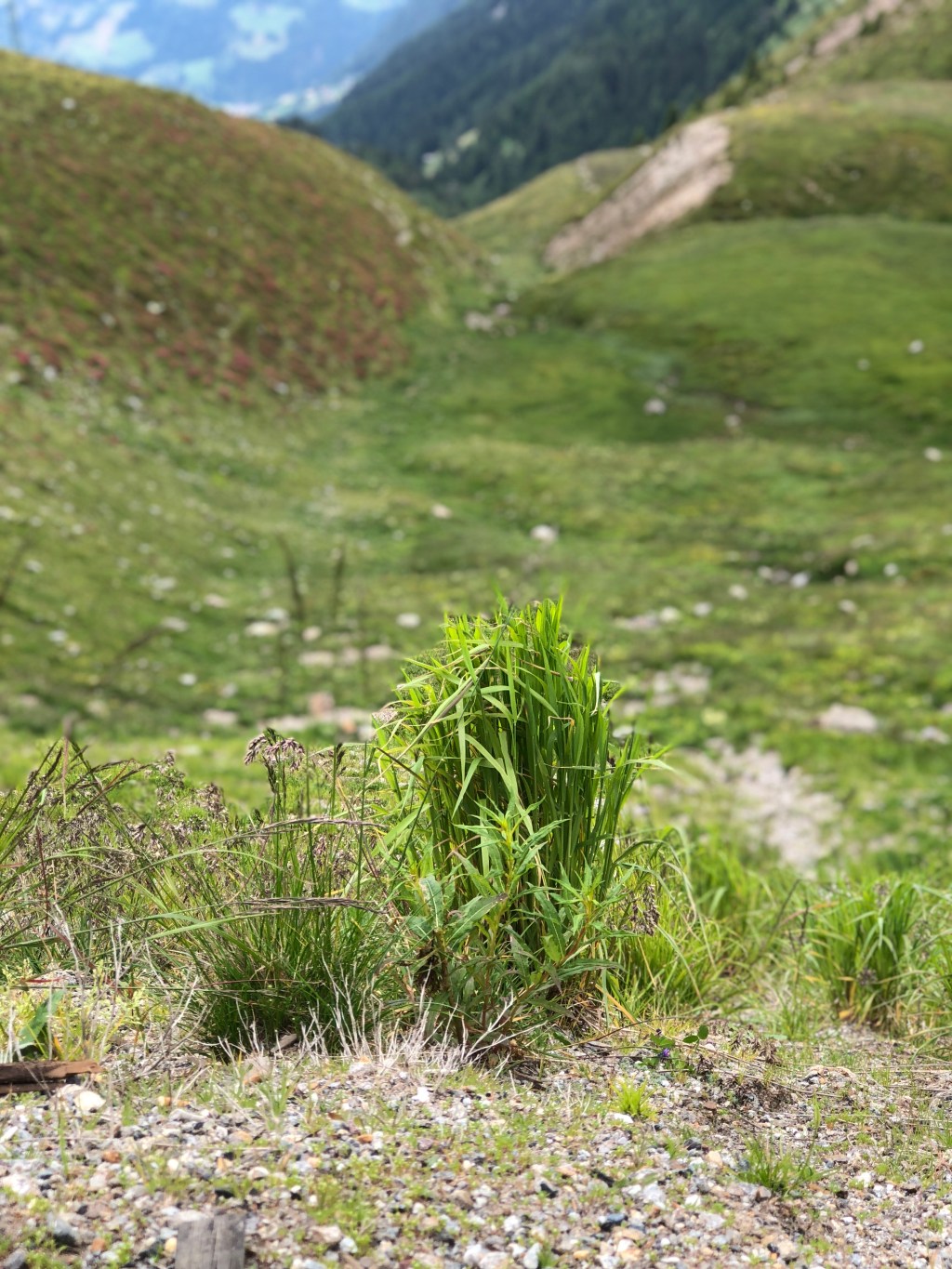 Portrait for a&nbsp;Friend