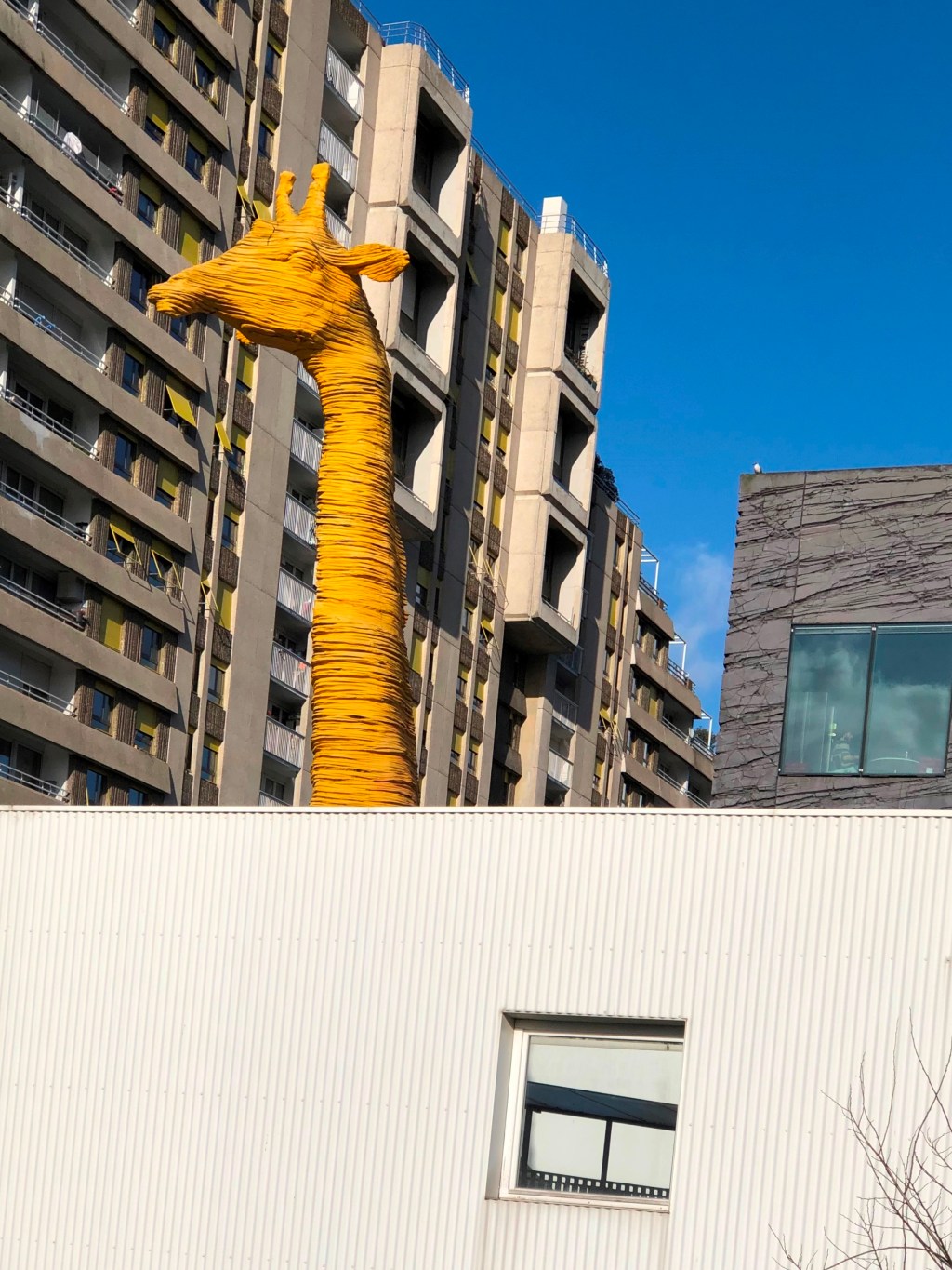 Une girafe à&nbsp;Paris