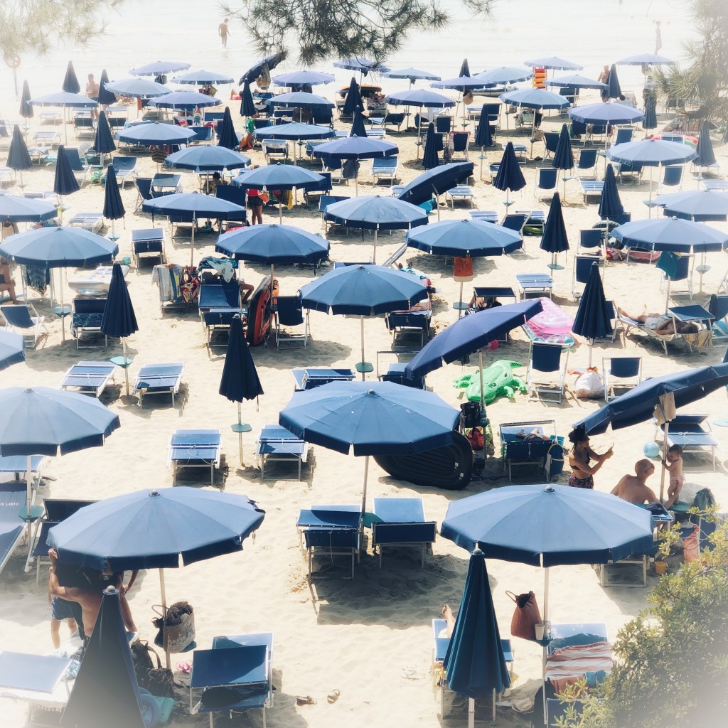 Una domenica bestiale